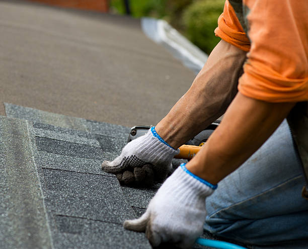 Best Storm Damage Roof Repair  in East Lake Orient Park, FL